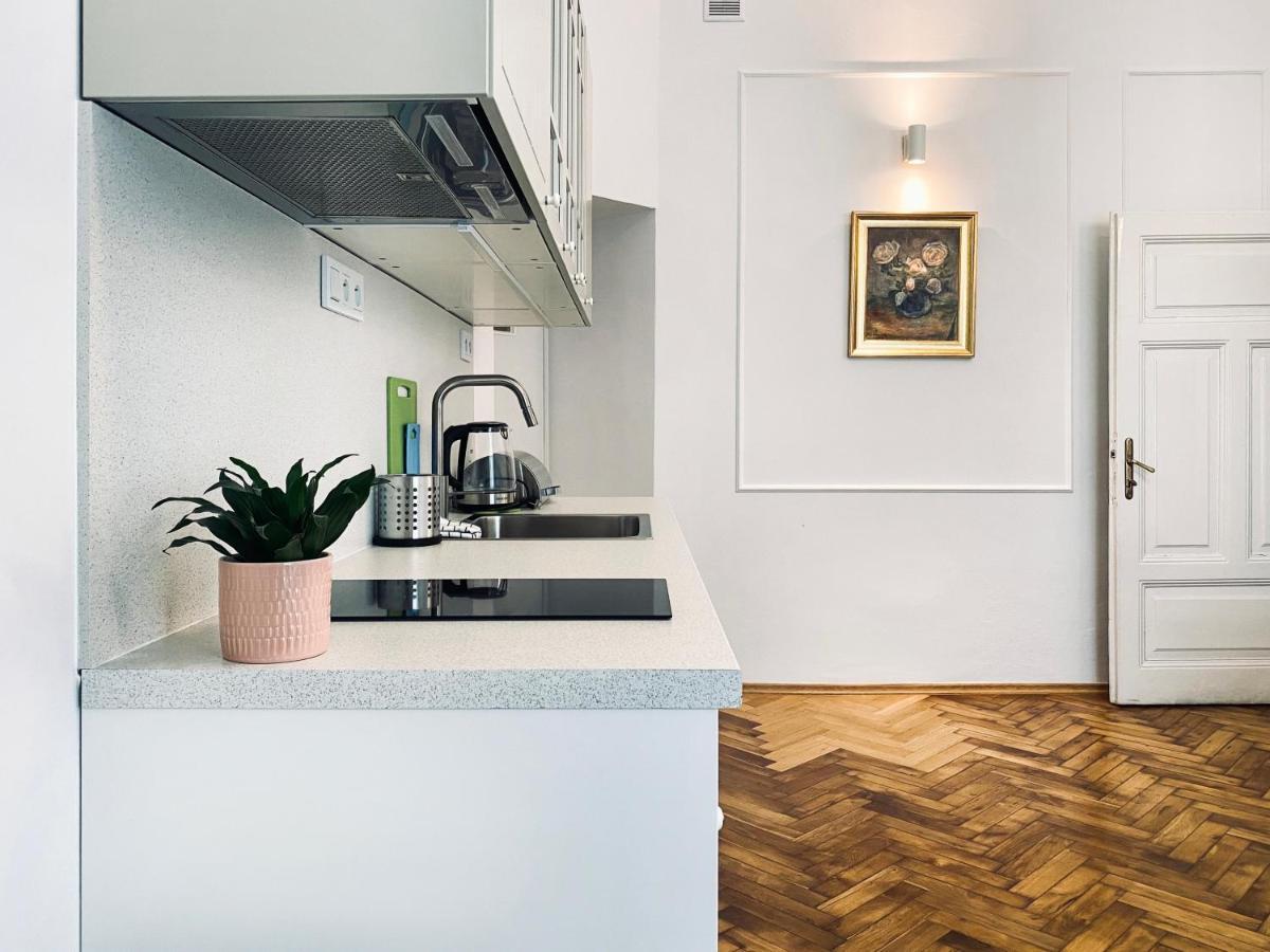 קרקוב Beautiful Apartment With Two Rooms, Cracow Old Town מראה חיצוני תמונה